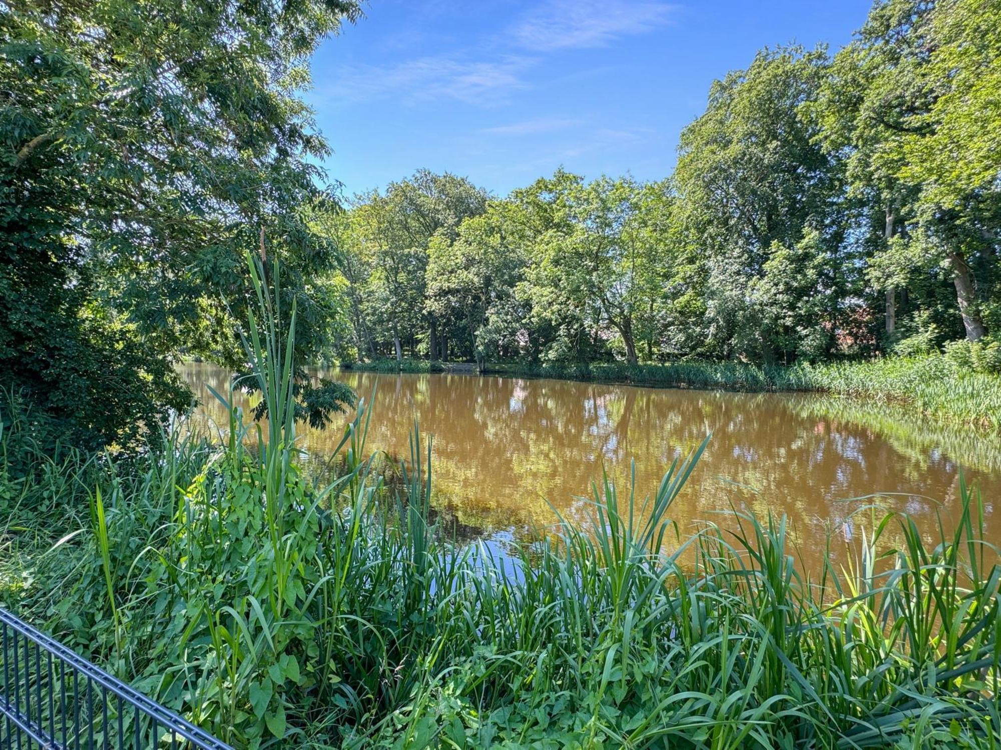 Cblue: Seeblick, Kamin, Wallbox, Natur Bentwisch Exterior foto